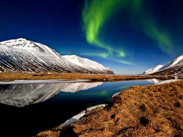 Northern lights and whale watching cruise in Iceland | Responsible Travel