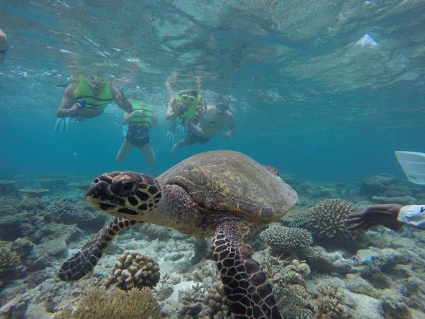Maldives island hopping holiday