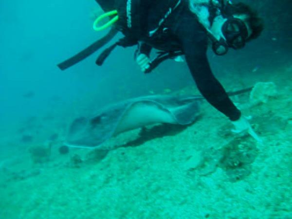 Mozambique marine conservation project