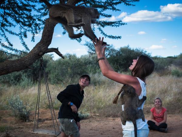 Namibia wildlife sanctuary volunteering holiday
