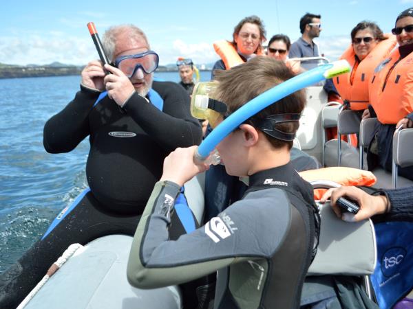 Azores activity holiday, incl swimming with dolphins