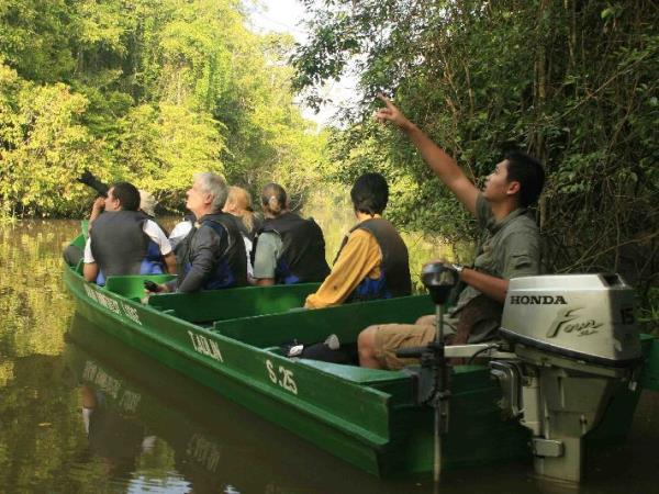 Borneo wildlife volunteer project