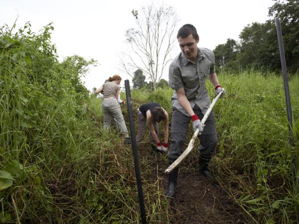 Borneo wildlife volunteer project