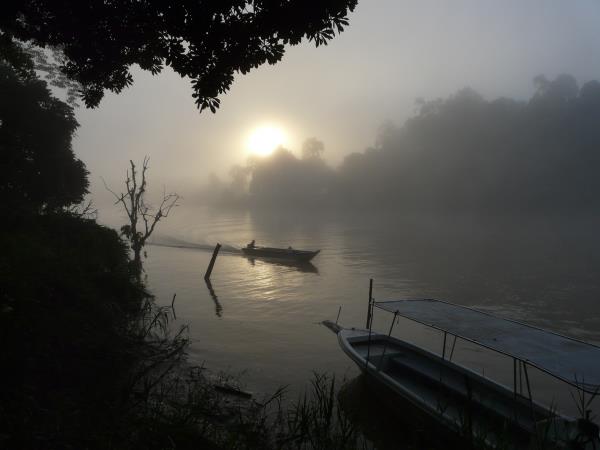 Borneo wildlife volunteer project