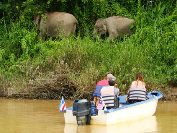 Borneo wildlife volunteer project