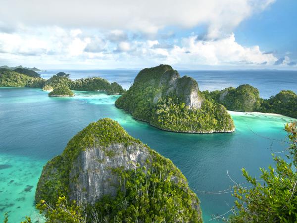 Raja Ampat diving project, Indonesia