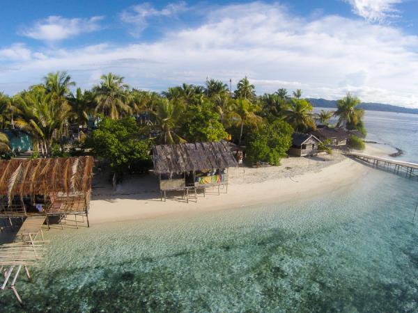 Raja Ampat diving project, Indonesia