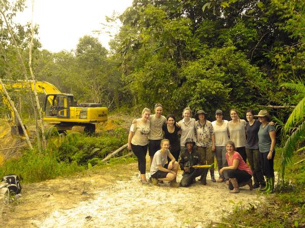 Orangutan conservation in East Kalimantan, Indonesia