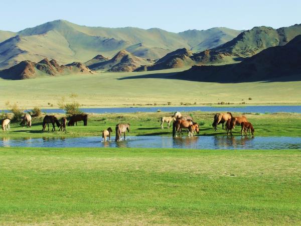 Central Asia overland holiday