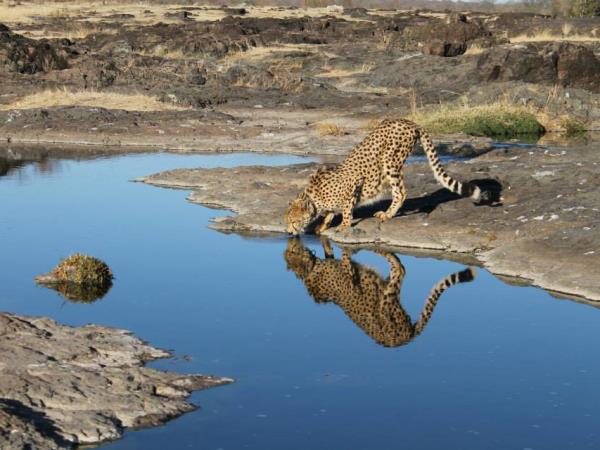 Victoria Falls volunteer project, Zimbabwe