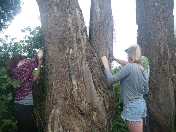 Victoria Falls volunteer project, Zimbabwe