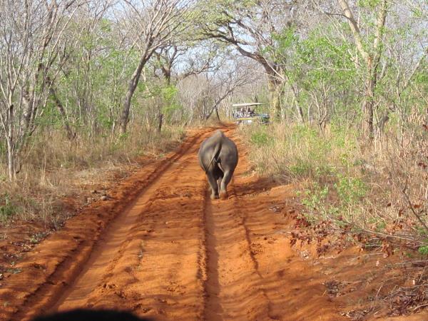 Victoria Falls volunteer project, Zimbabwe