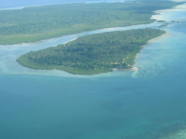 Whale Shark conservation holiday in Tanzania