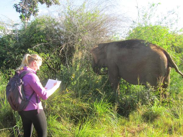 Elephant conservation holiday, Cambodia