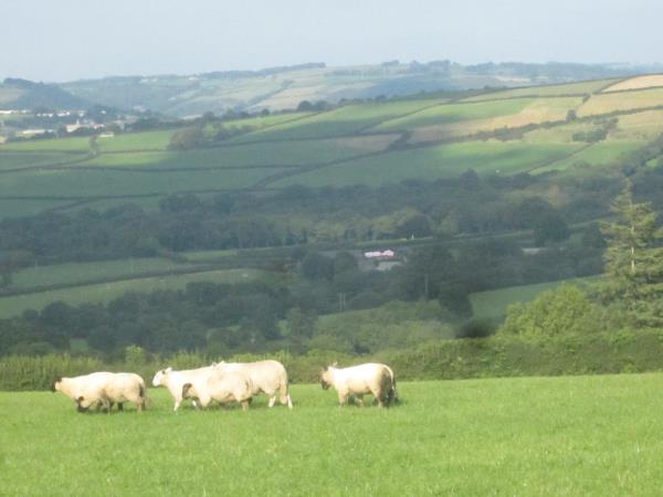 Carmarthenshire self catering cottage in Wales