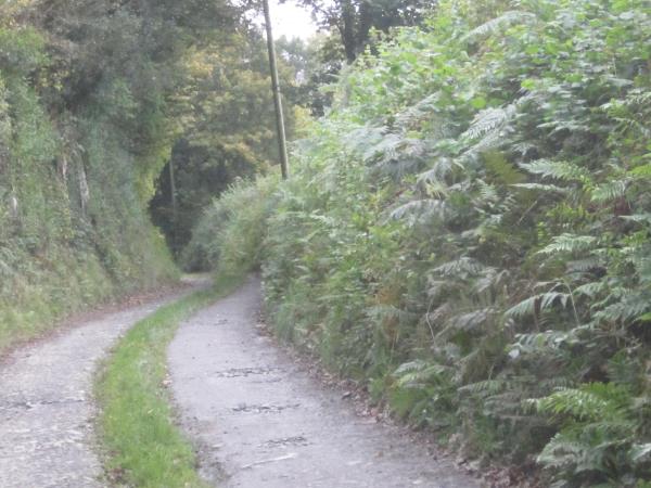 Carmarthenshire self catering cottage in Wales