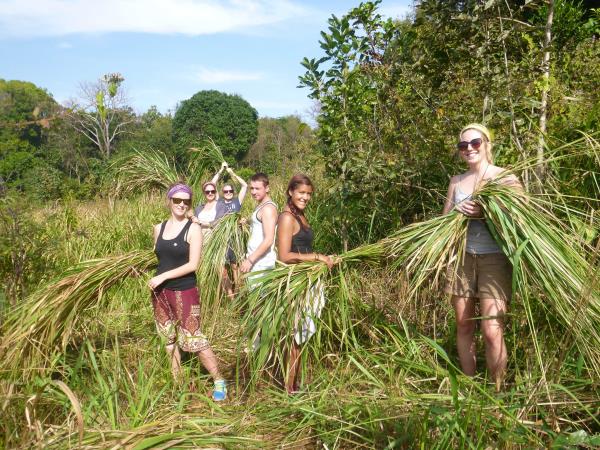 Elephant conservation holiday, Cambodia