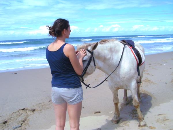 Horse rehabilitation project in South Africa
