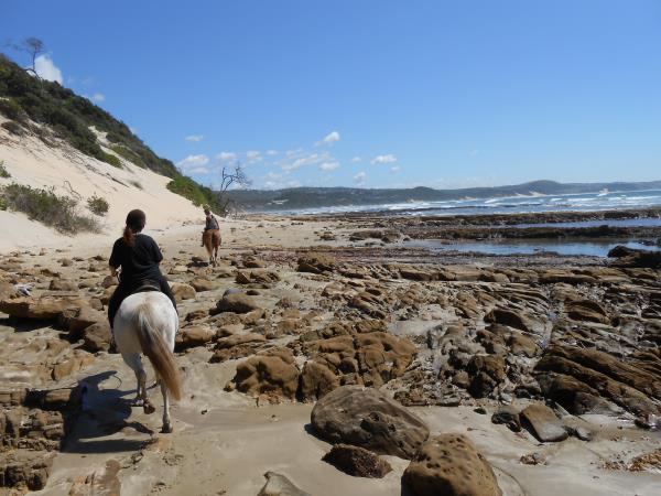 Horse rehabilitation project in South Africa