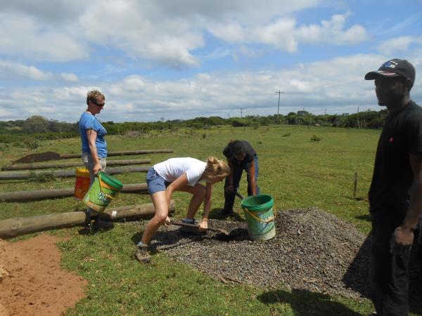 Horse rehabilitation project in South Africa
