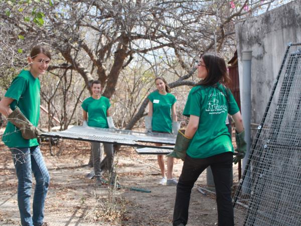 Wildlife orphanage volunteering in South Africa