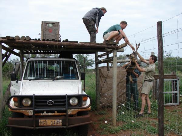 Zululand conservation project
