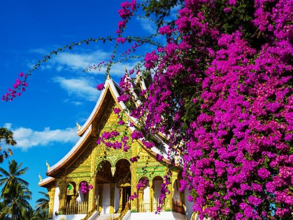 Cambodia & Laos tailor made tour