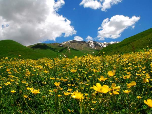 Armenia holiday, tailor made