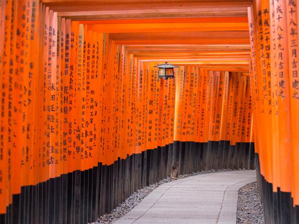Japan small group holiday by bullet train