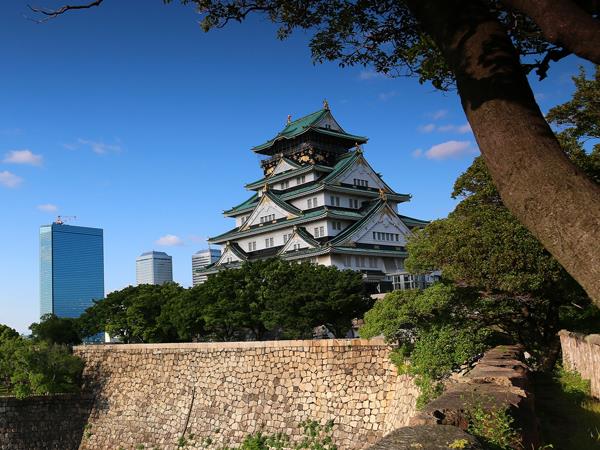 Japan small group holiday by bullet train