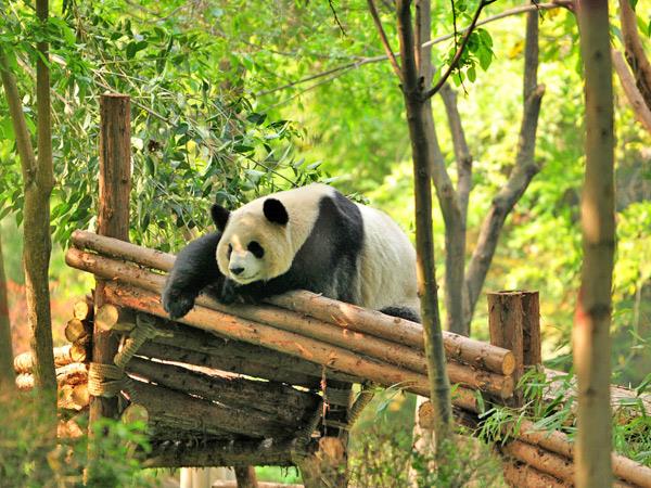 China to Tibet by train, Chengdu to Lhasa