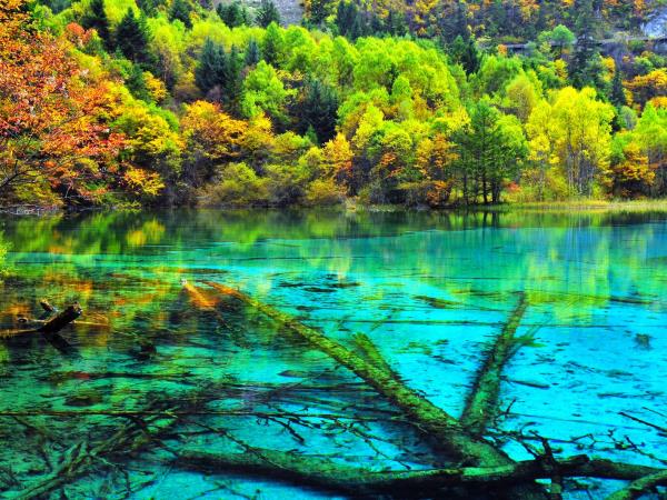 Tibetan culture tour in Sichuan, China