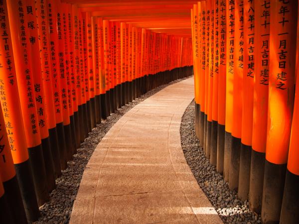 Japan culture tour, Shoguns & Samurai