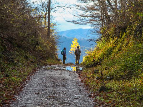 Nakasendo Trail walking tour, Japan