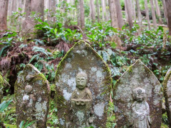 Kumano Kodo walking holiday, Japan