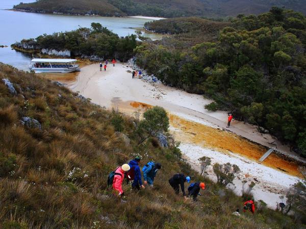 Tasmania coastal cruise
