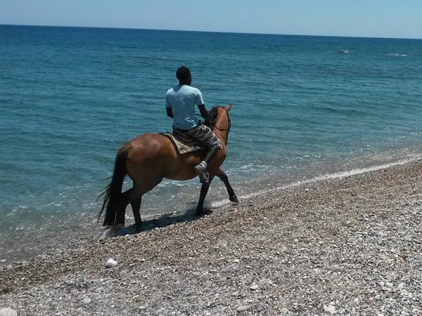 Rhodes family activity holiday in Greece