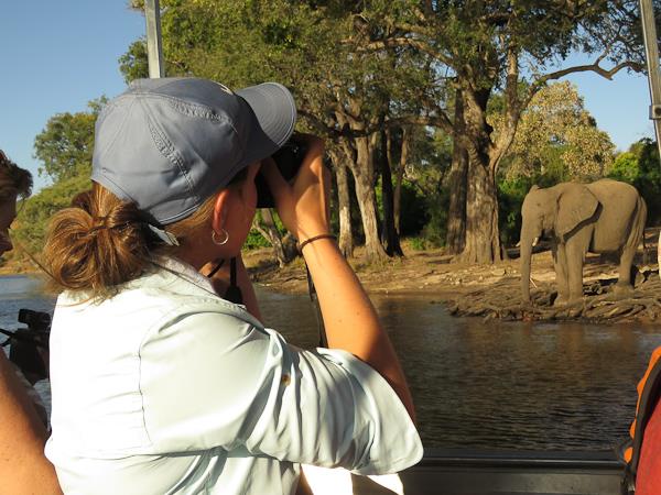 Botswana lodge & camping safari