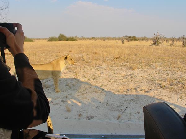 Botswana lodge & camping safari