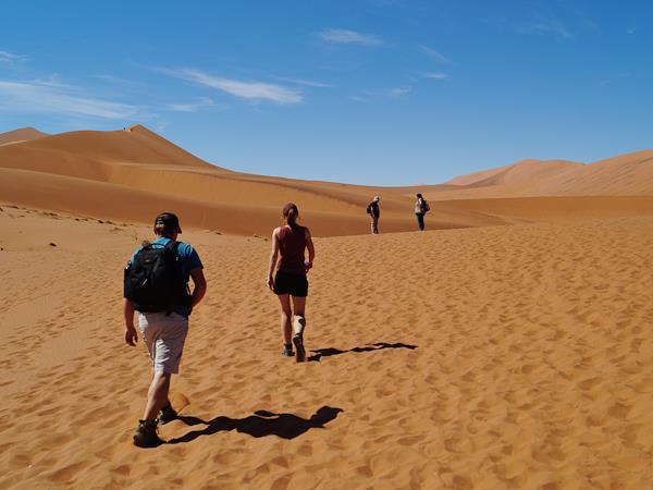 Cape Town to Victoria Falls small group lodge tour