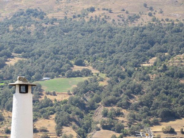 Guided walking holiday in the Alpujarras, Spain