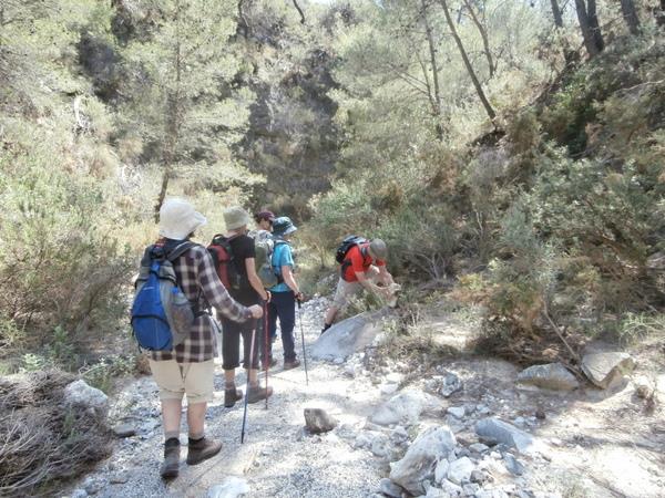 Walking in Andalucia