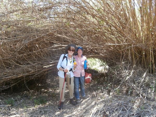 Walking in Andalucia