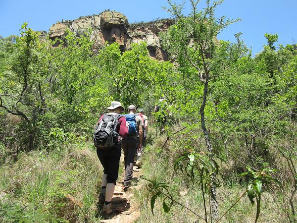South Africa and Swaziland safari