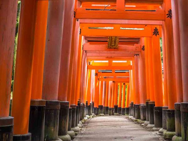 Japan golden route holiday