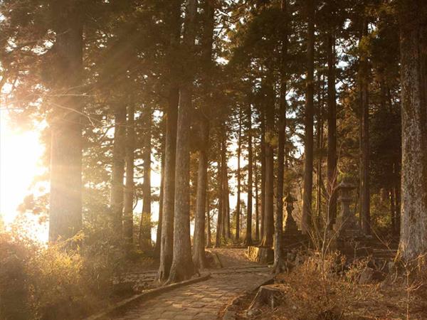 Japan golden route holiday