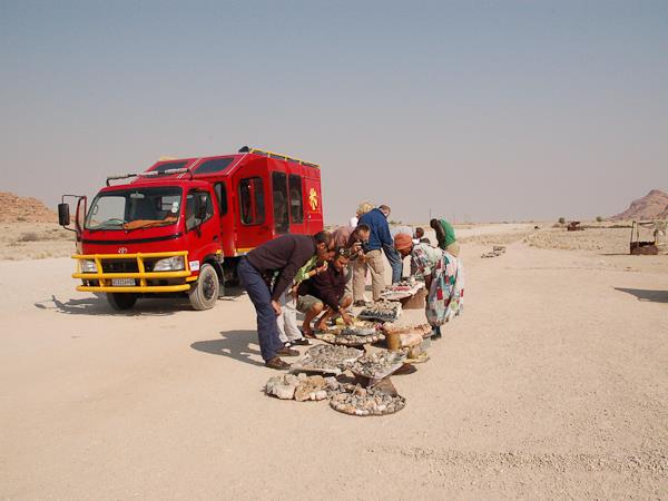 Windhoek to Victoria Falls, Namibia lodge safari