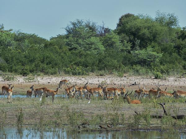 Windhoek to Victoria Falls, Namibia lodge safari