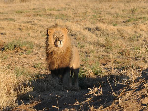 Windhoek to Victoria Falls, Namibia lodge safari