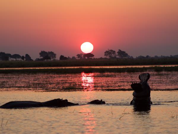 Windhoek to Victoria Falls, Namibia lodge safari